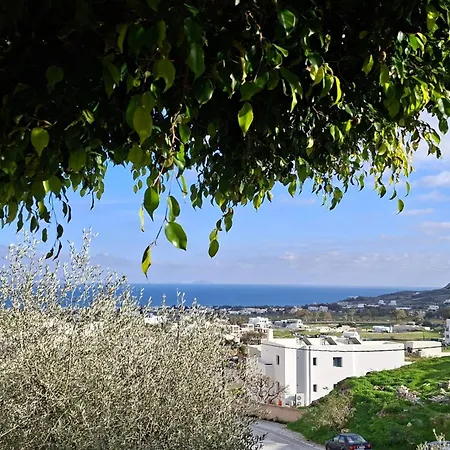 Sea View Houses